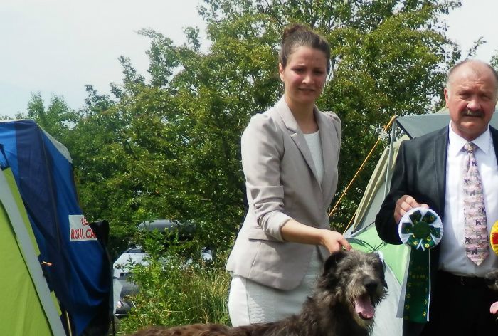 04.07.2015, Nørresundby: Crathlint Caoimhin Cara became CK, CAC, BOB and Intermediate class BIS 2. Crathlint Cian Cedric got CK, CAC, BOS. Judge: Louis Dehaes Belgium.