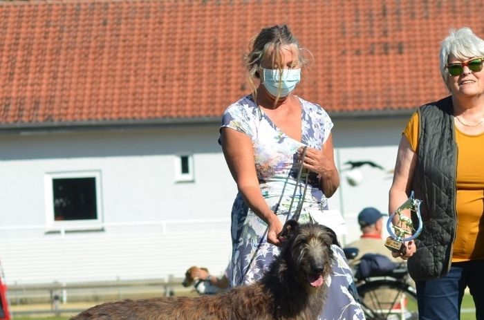 At the Sighthound show held in Hamburg the 20.09.2020, Crathlint Etaoin Enora was V1, CK, CAC, BOB. Crathlint Franc Fionnuala (14 months) was V1, CK, Junior CAC, Junior BOB. Because of the Covid19 situation no BIS competition was held. Judge, Fr. Wilfriede Schwerm-Hahne, D. Photo: Gesine Koch.