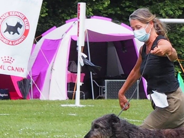 Crathlint Étaoin Enora running for her final CACIB