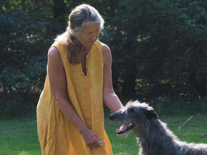 At the Danish Sighthound show in Nørresundby, 10.juli 2021, Crathlint Fiona Fyfe got her final CAC an became Danish Champion. Judge H. Wozna-Gil, PL. Photo: Holger Prahm.